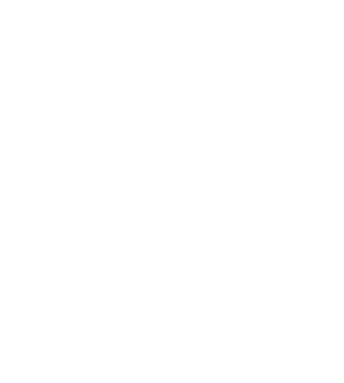 partner p rgb